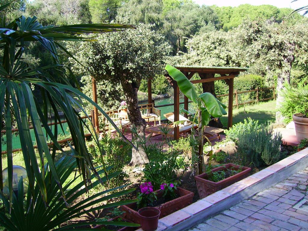 Villa Paradisino Orbetello Rum bild